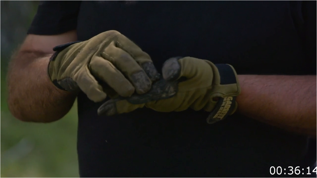 [Image: 7s6k5o2cqalx.png]