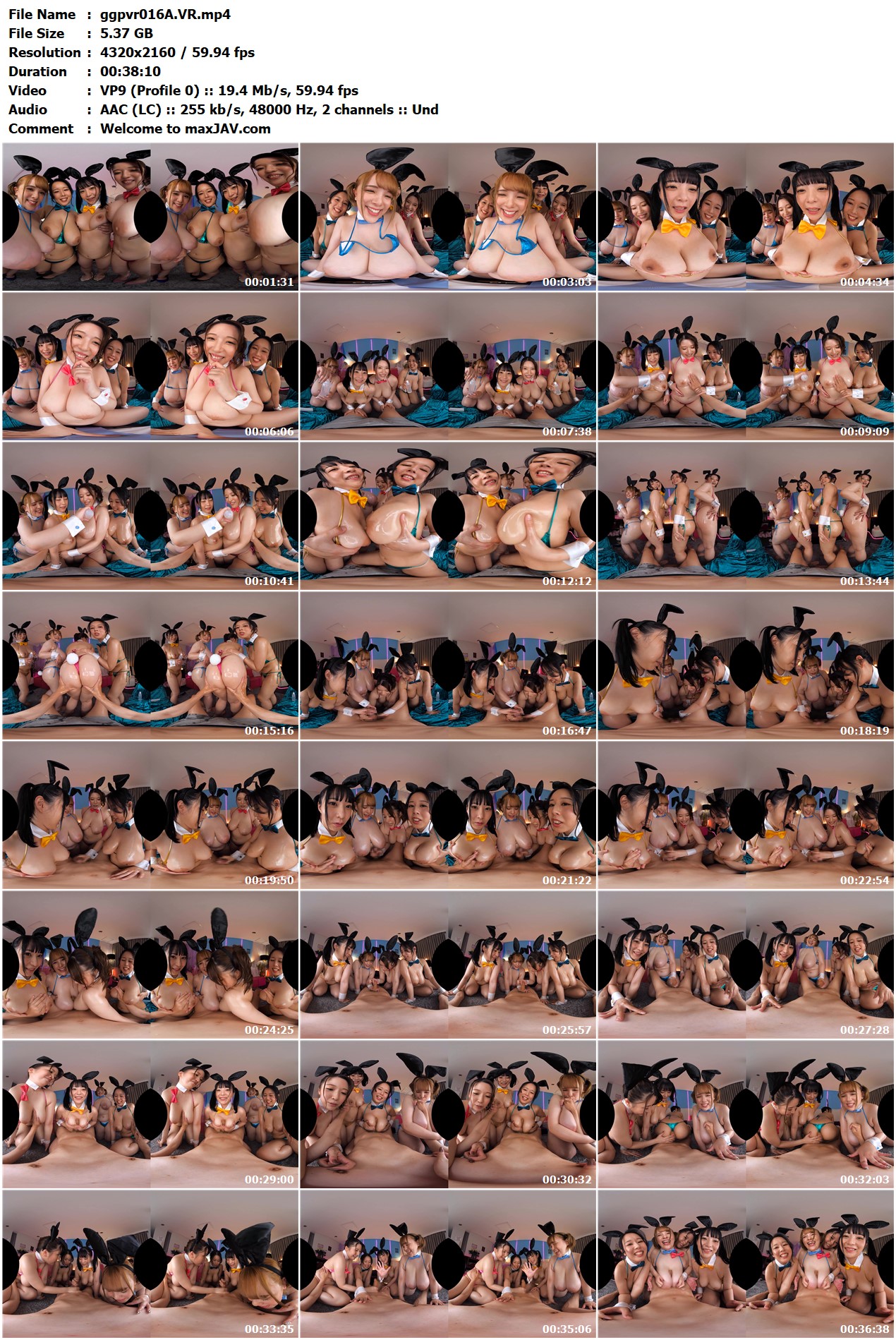 ggpvr016-A