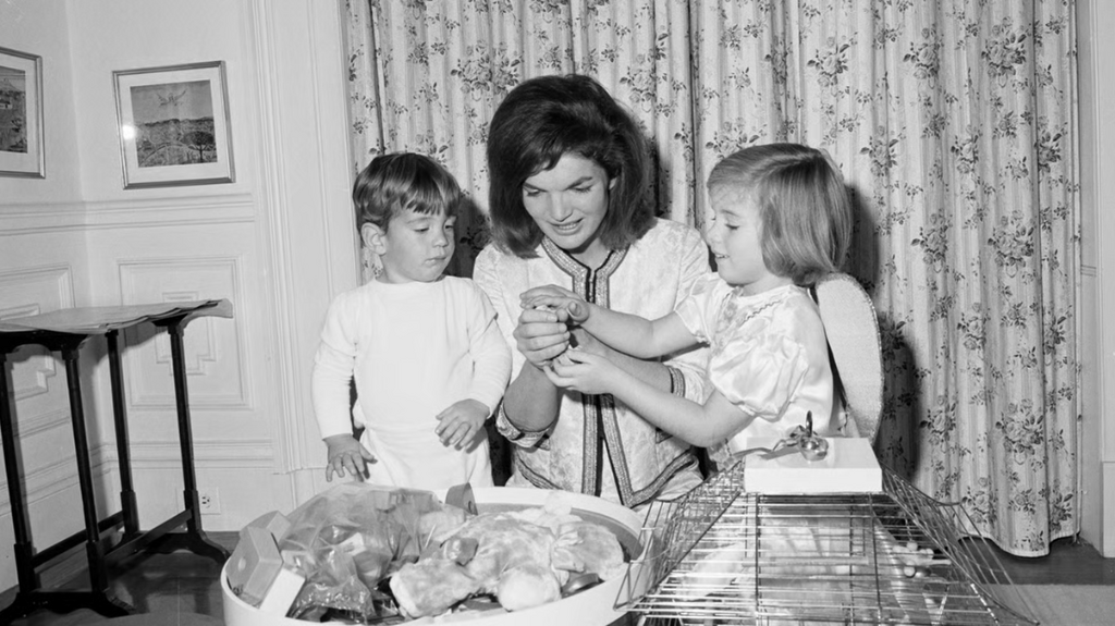 [Image: 80zdyu2xyd1e.png]