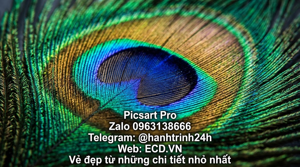 đại lý picsart pro