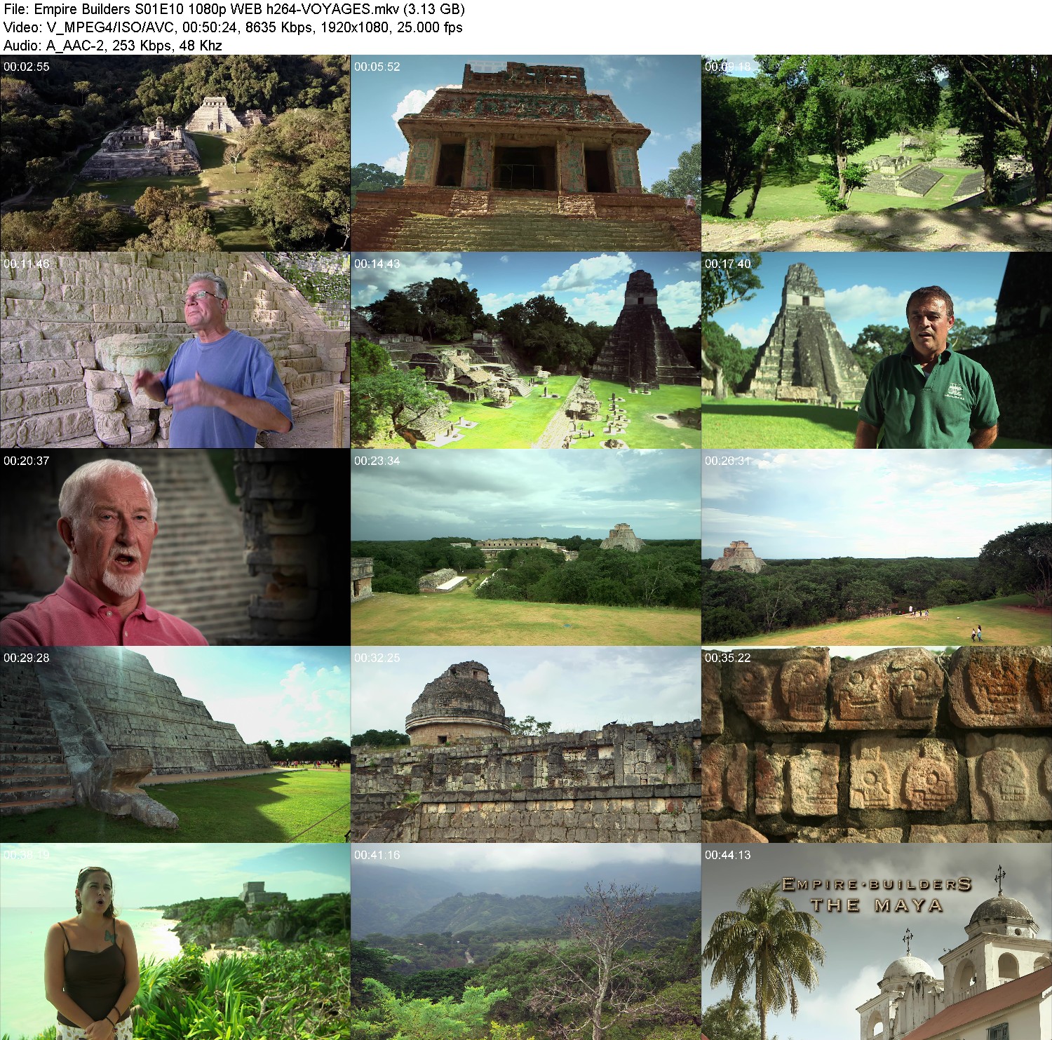 [Image: 7k6oixot3tj9.jpg]