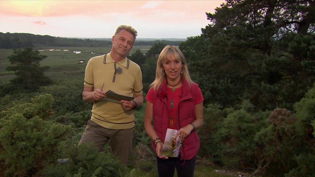 [Image: 9uvzf0ho2pc2.jpg]