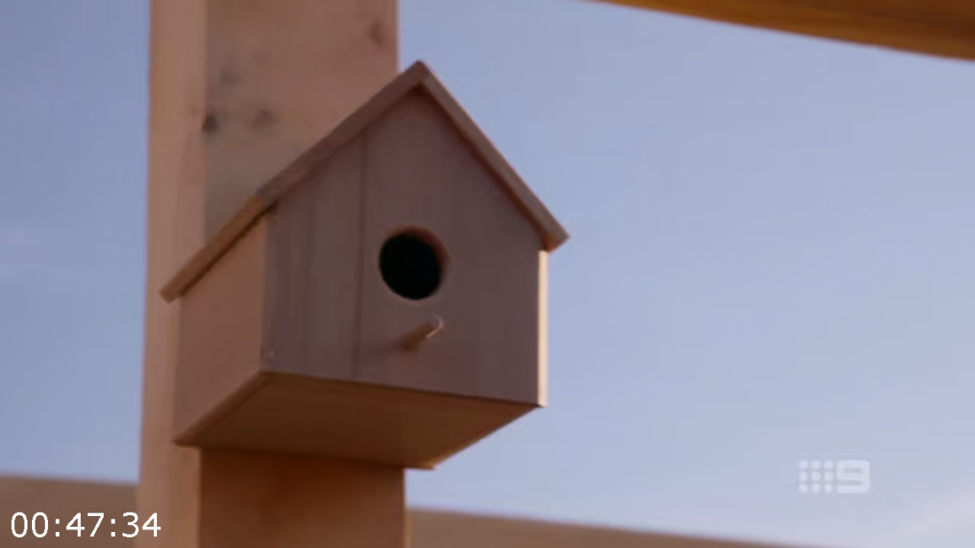 [Image: tahw9h2k7x2e.png]