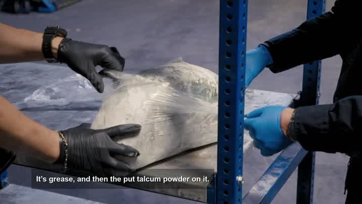 [Image: 71luf6kyyt7s.jpg]