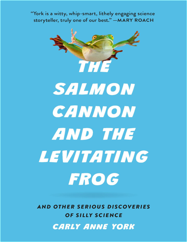 York C The Salmon Cannon And The Levitating Frog 2025