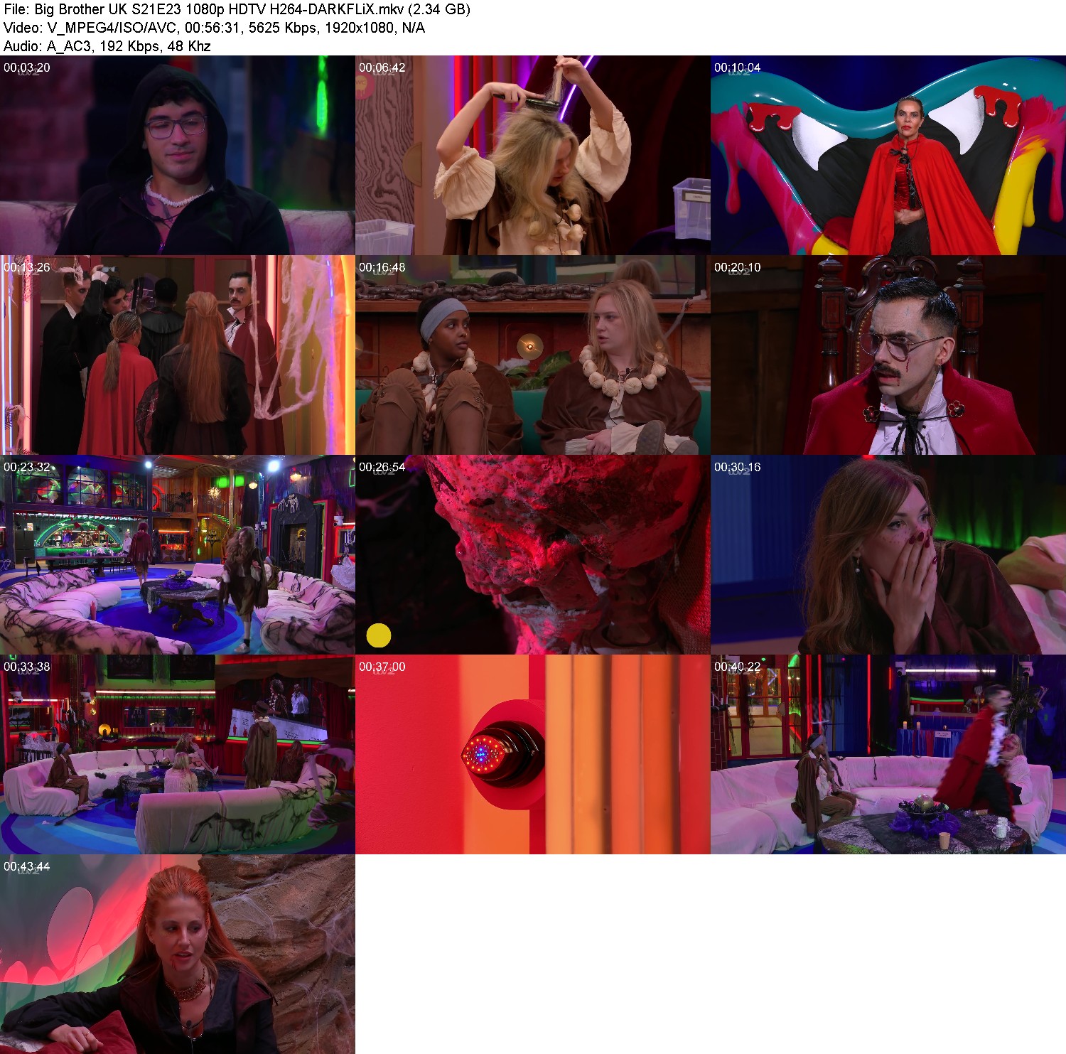 [Image: epg7z33i2wqx.jpg]