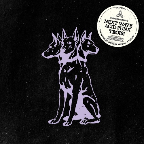 VA - Curses presents Next Wave Acid Punx Trois - Chapter 3 (2026)