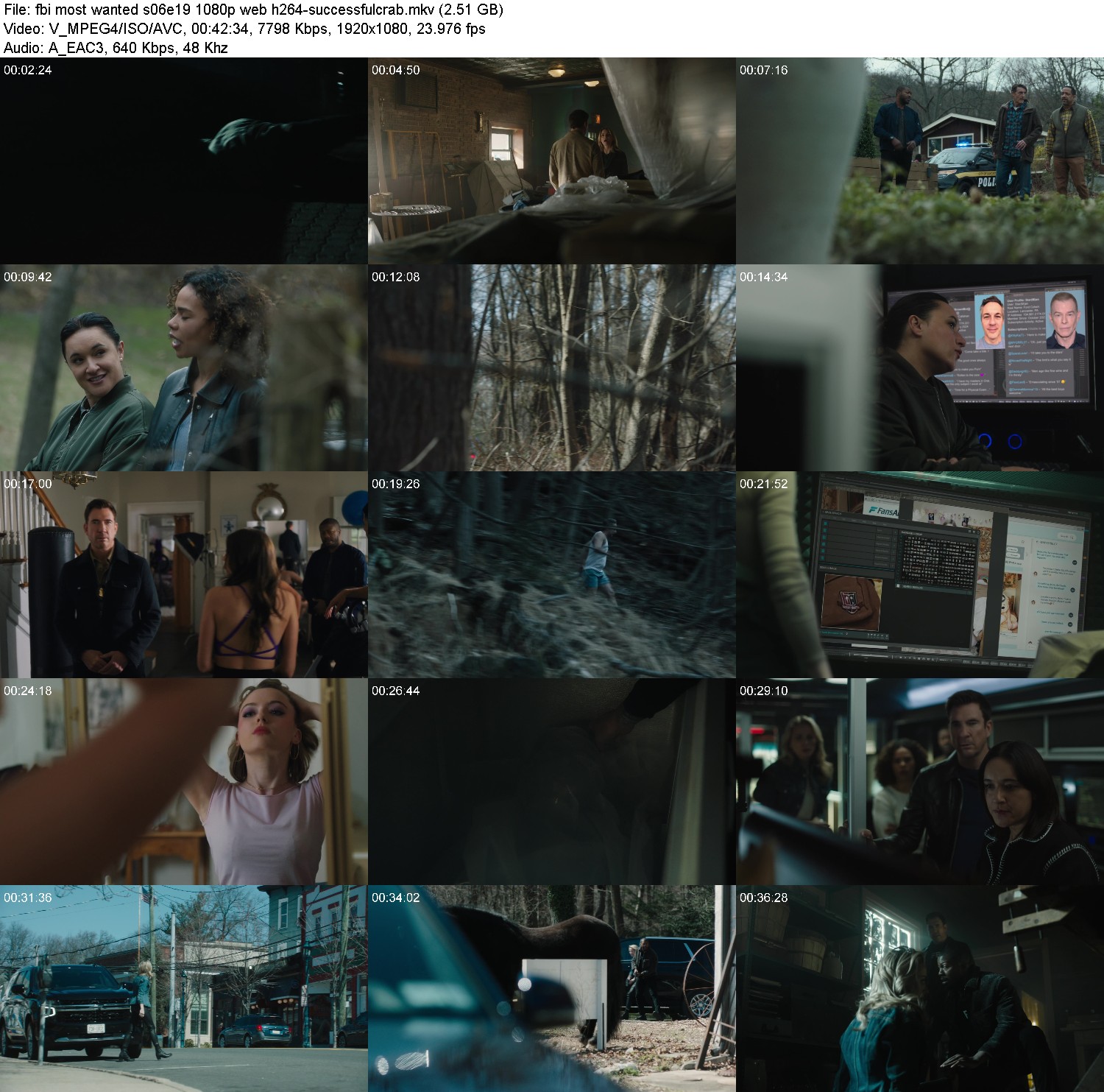 [Image: c53sefboob02.jpg]