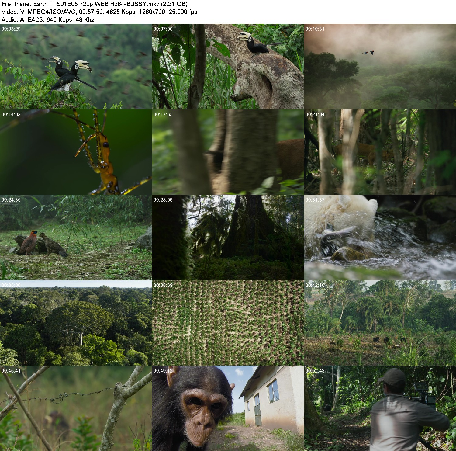 [Image: x4pdyhgkk362.jpg]