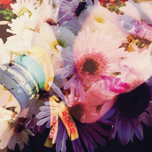 [Image: 2km2mqt5bh2d.jpg]