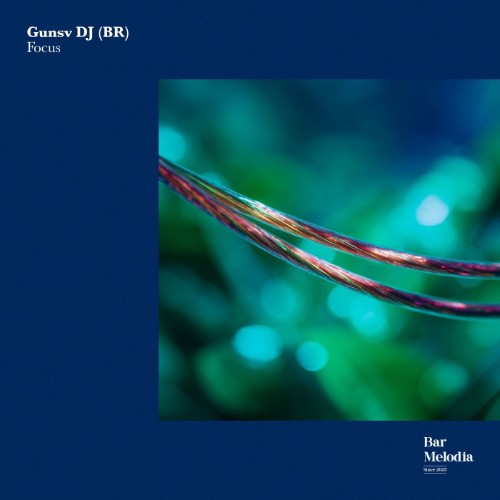 Gunsv DJ (BR) - Focus (2026) MP3