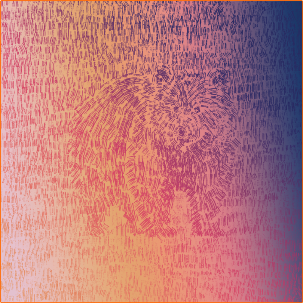 2r4kit4u6hkn.png