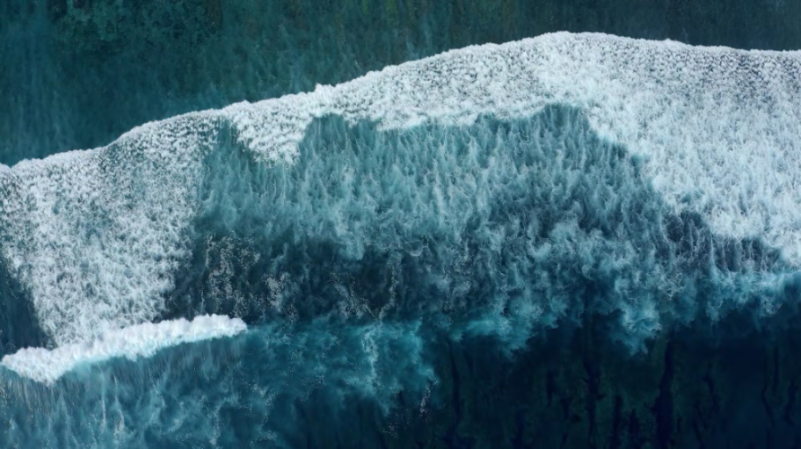 [Image: xda1fbj501wt.png]