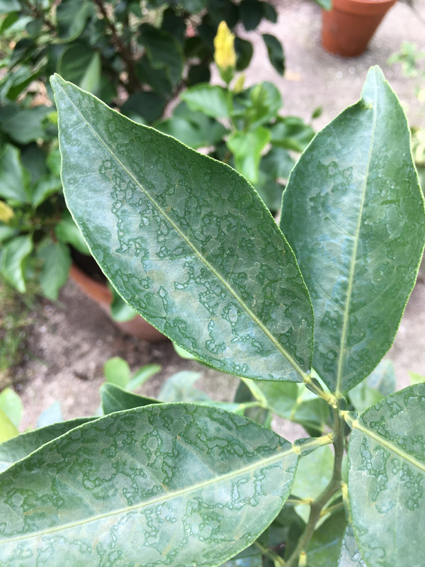 BA9DF9B6-8E56-49E3-A76B-D88D4DCFFCA7