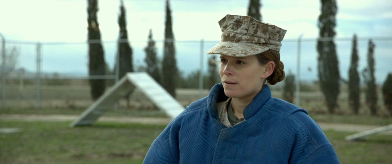 Megan Leavey 2017 (1080p x265 10bit Tigole).mkv_