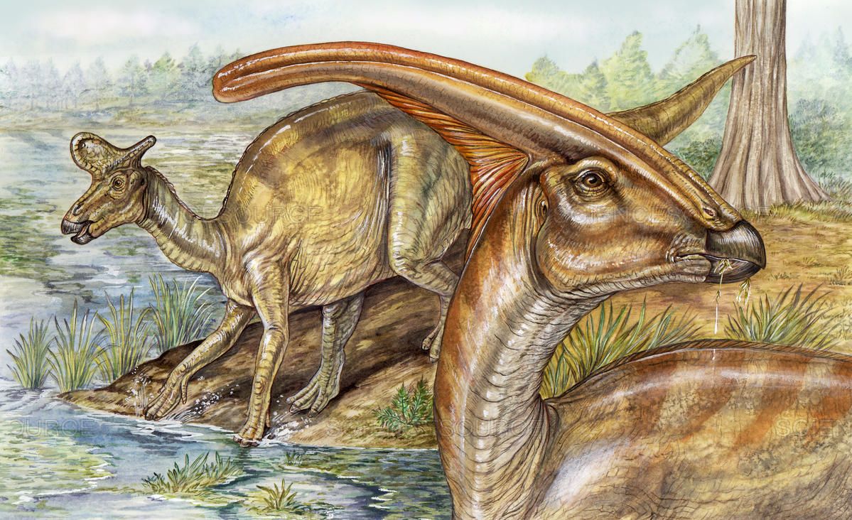 45af6a8f174e91cdf49e3acd8b120b3b