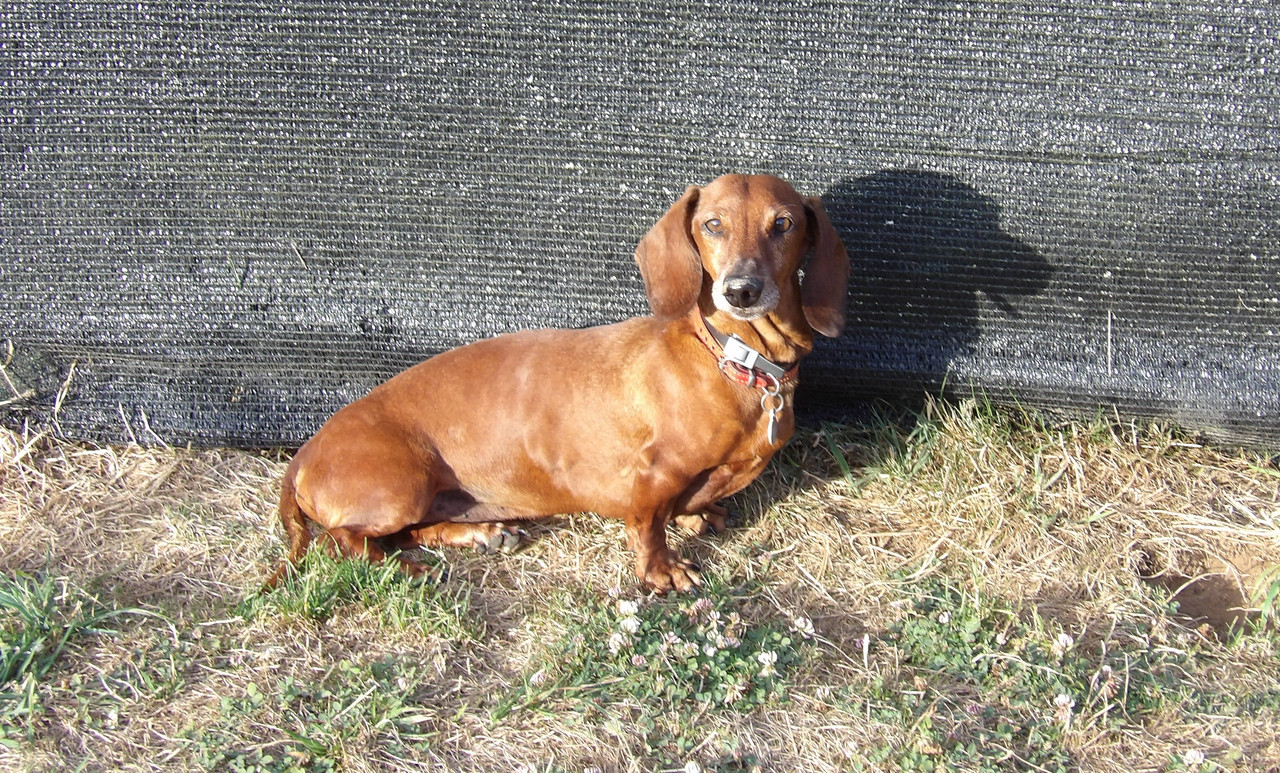 [Image: 125-0113.jpg]