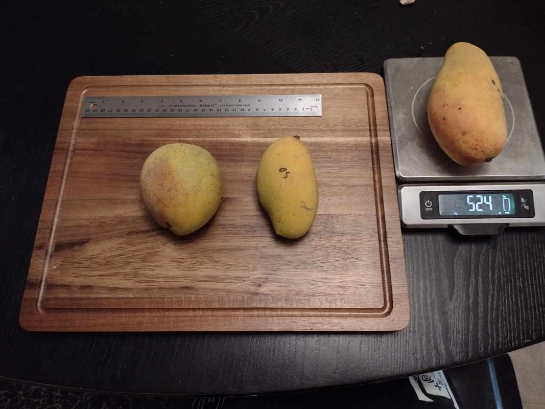 IMG_20210602_185646661_HDR