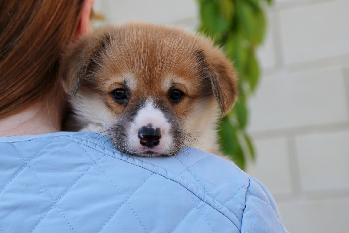 v1xvhv0WaZw-QbMa-MMIwnlyw4voj0vvh5RuPtllX9m0HEEdR1dD-s1EciI7q275s4SjLmmFsdQy6PINP0hXYKFt