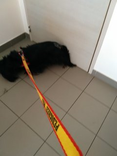 [Image: IMG-20210902-112327.jpg]