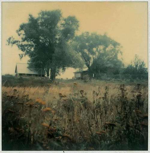 AT