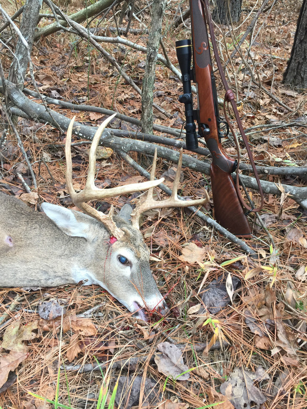 7332B07F-CF2F-477D-952A-65FB92D15A8E