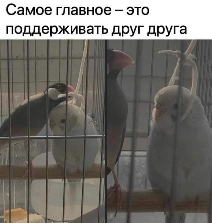 273276312_472683661136933_1745253352472504971_n