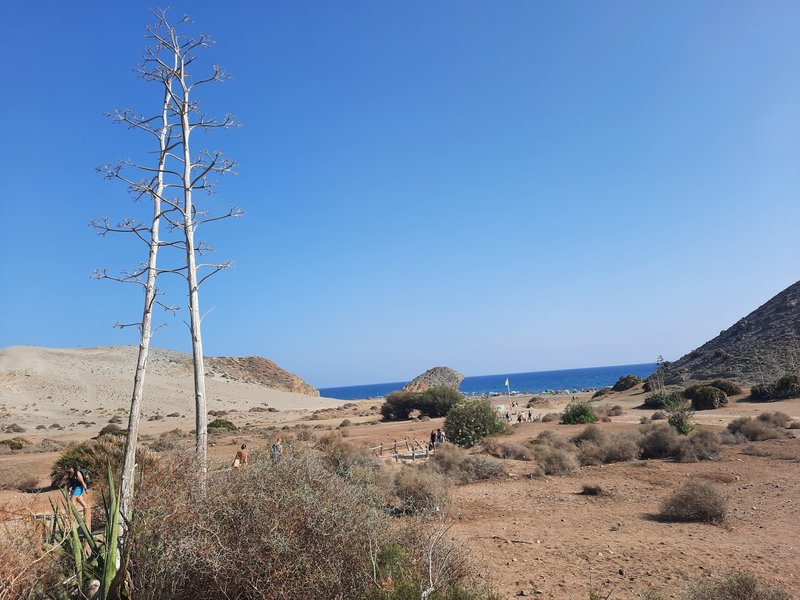Cabo de Gata y costa Este de Almería - Blogs de España - Dia 5. Playas del Cabo de Gata. Mónsul. (3)