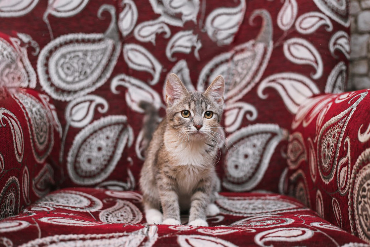 E4A3FCDD-19A9-4F20-A938-0CF525561680