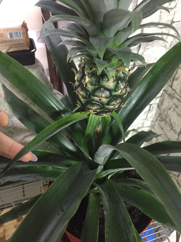 EAF94B1D-7161-4538-AA13-7AEF1E3DC7BA