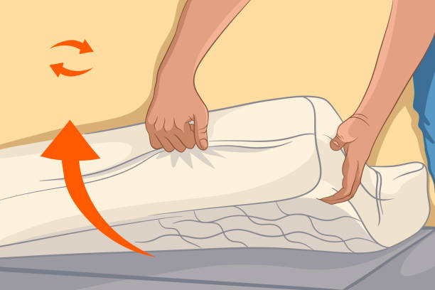 Kissimmee Bed Bug Treatment
