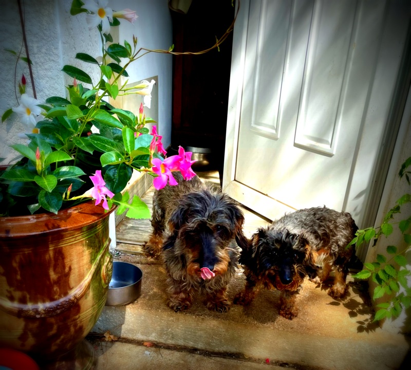 [Image: IMG-0530.jpg]