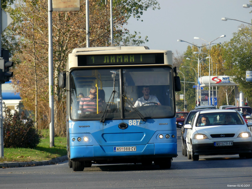 P1000098A
