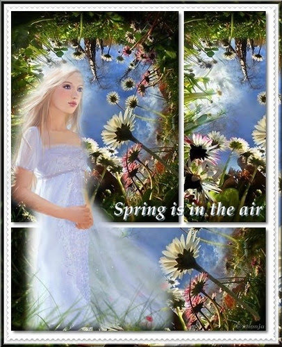 1361623 c742f347b16f96707cbbca2530b489ee