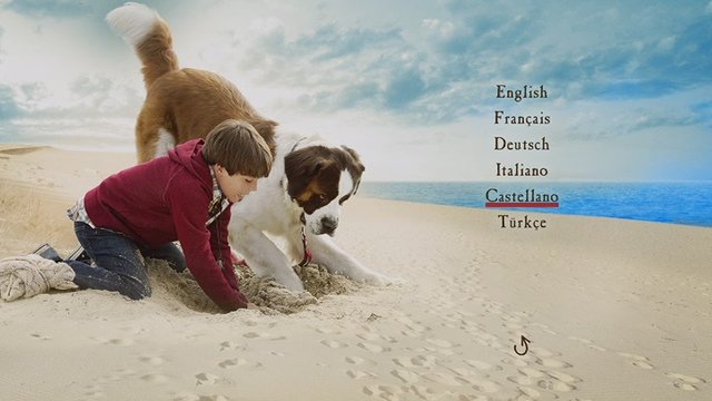 2 - Beethoven 8, La Búsqueda del Tesoro [DVD9Full] [Pal] [Castellano y 5 más] [Comedia] [2014]