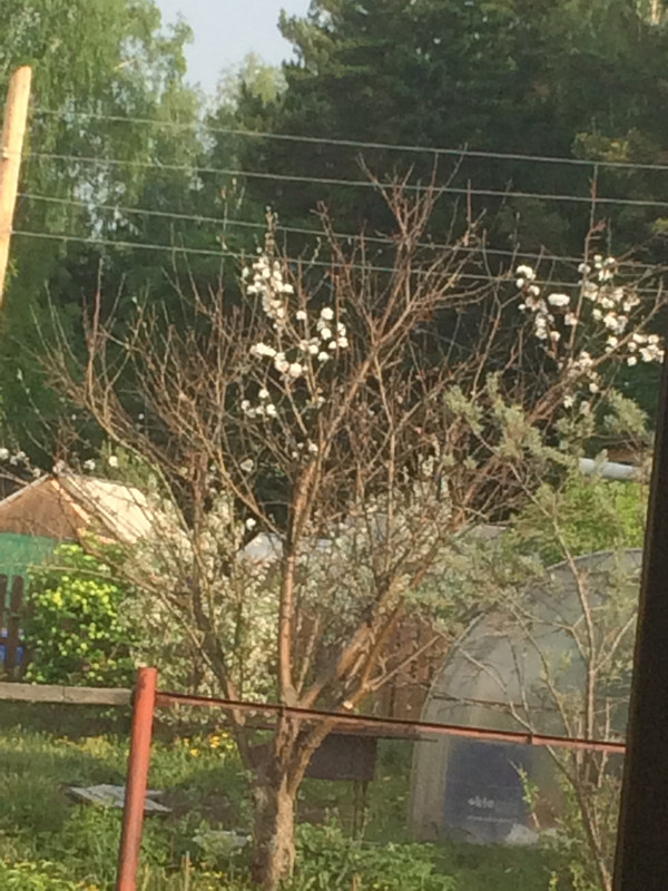 81CFE392-2993-49E8-836A-E7BA7DA09374