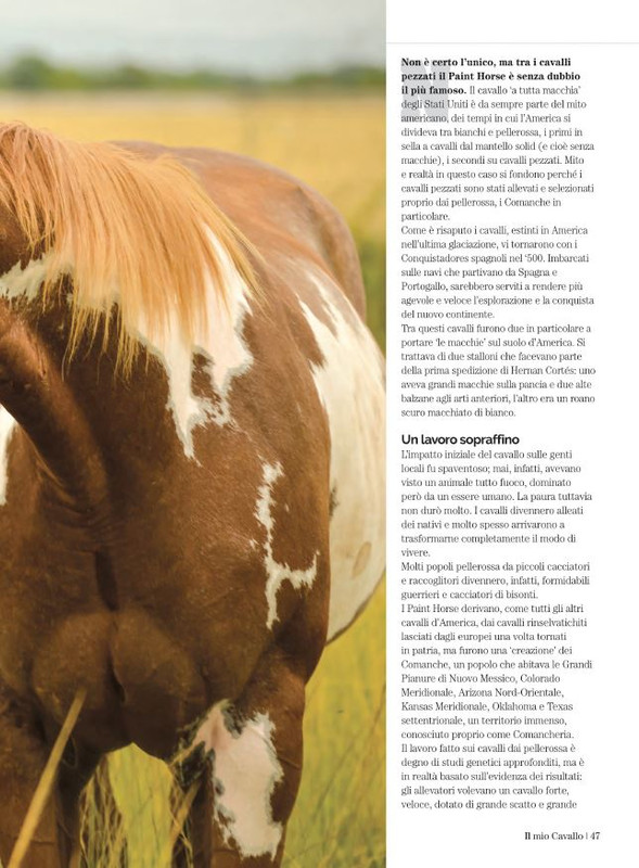 Il Mio Cav (Feb 2022) 12