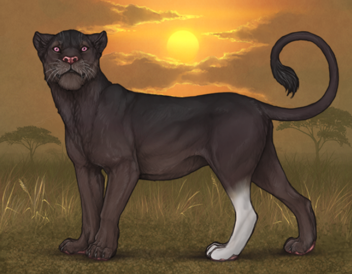 lion-marking-drawing-commissions-lioden