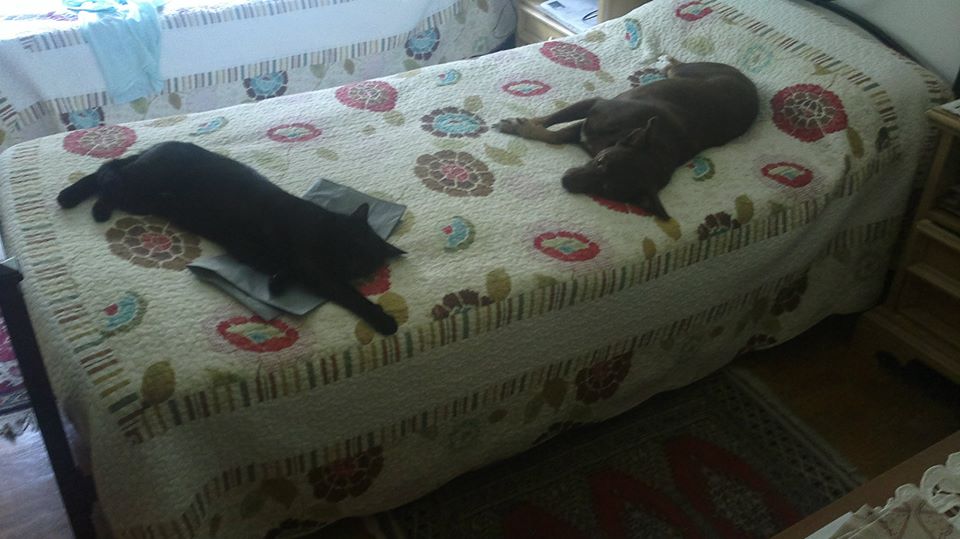 1044501_10200675153653982_1101392339_n