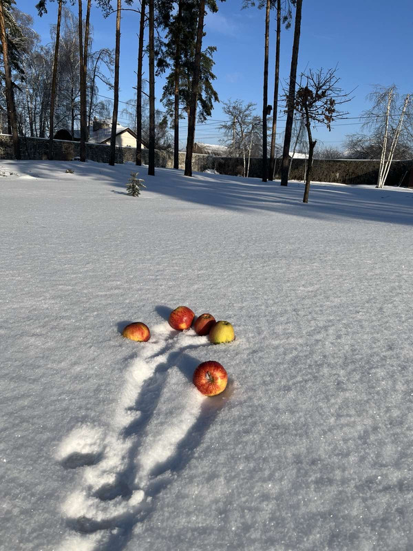 [Image: IMG-3337.jpg]