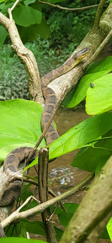 Resized_Screenshot_20230630_121634_Gallery