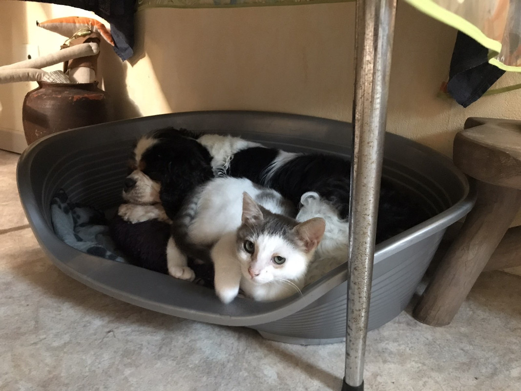 6047BA6E-5D0B-4CF2-A826-352E95A30050