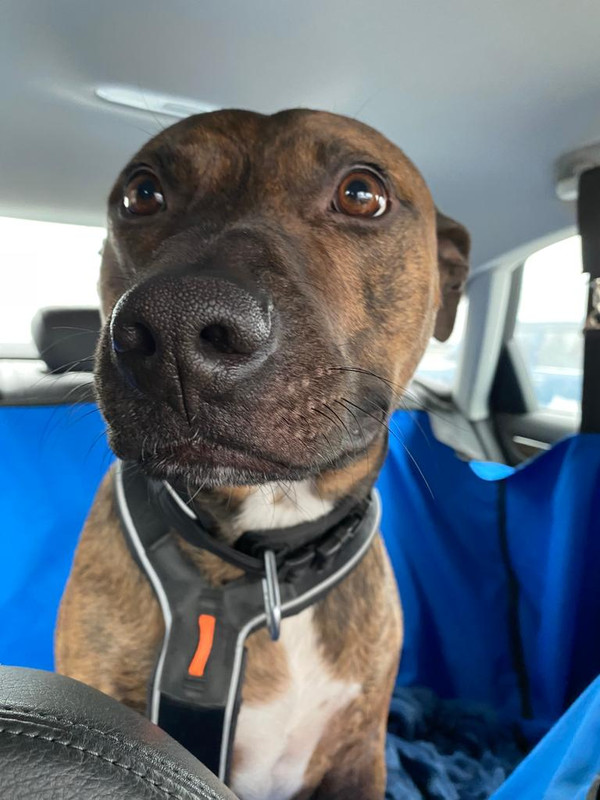 36CB5344-E697-4A65-8E06-5AA33DC20A35