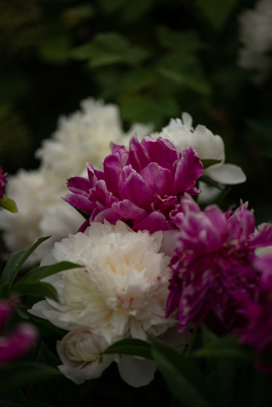 IMG-0a941d9b9b65f527003e9d9ad9d7f230-V