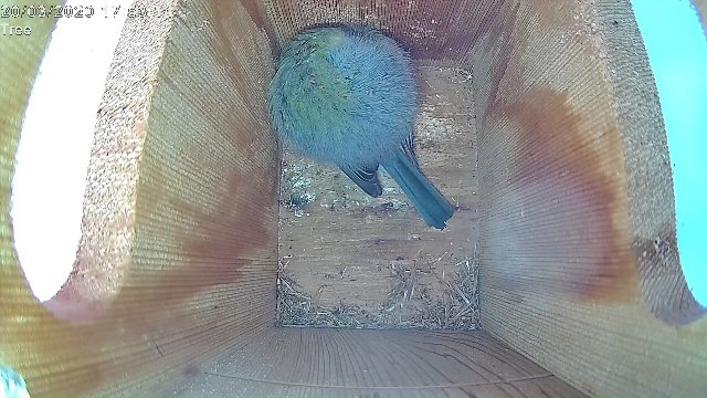 2846CADF-E32D-4867-B42E-CA9070CA4054