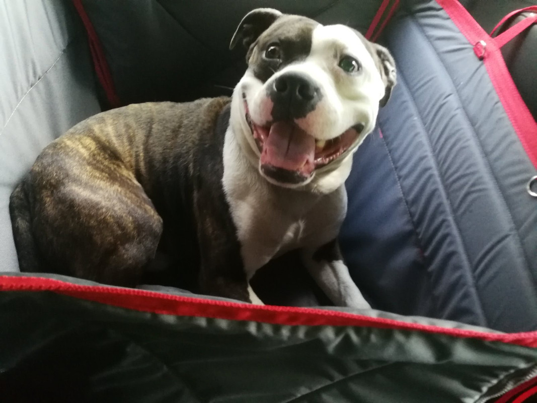 5EB1E587-639B-4E0D-9295-48FD3A6FB7EF