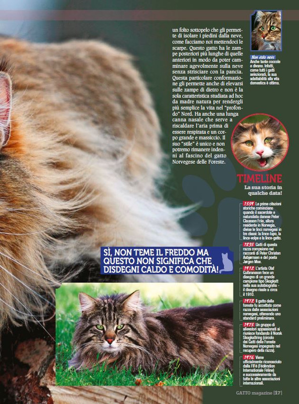 Ga Ma Dic 2017 - Gen 2018 (2)