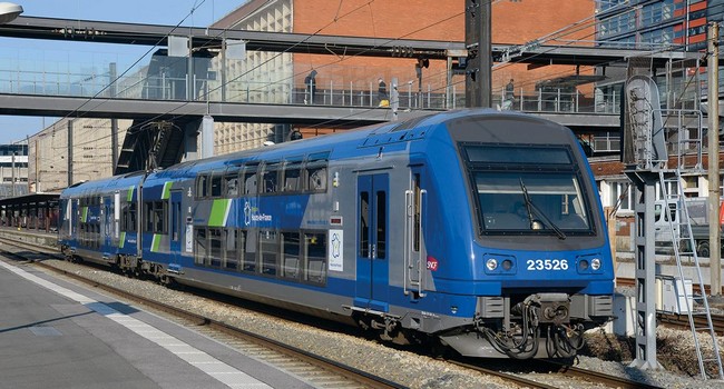 23526.jpg