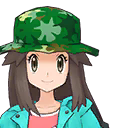 ch0017-10-leaf-128.png