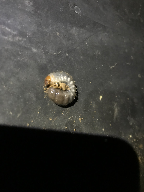 248C5FB6-D695-469F-8716-BBC619A10AE1